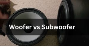 Woofer vs Subwoofer